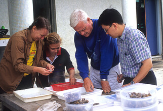 His collaborations and conferences: Professor Morton working with his co-worker and overseas experts on molluscan samples from underwater caves in Hong Kong.